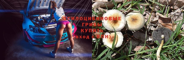 герыч Лагань